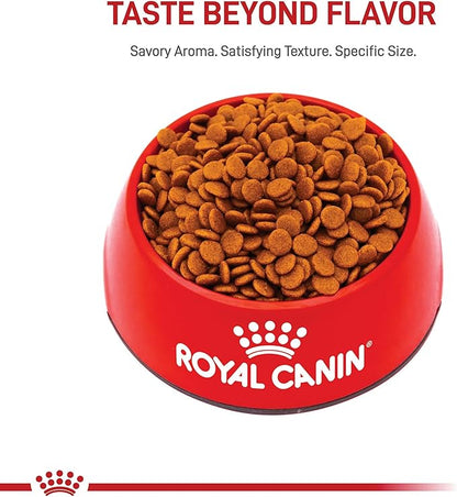 Royal Canin Size Health Nutrition Medium Puppy Dry Dog Food, 4 lb Bag