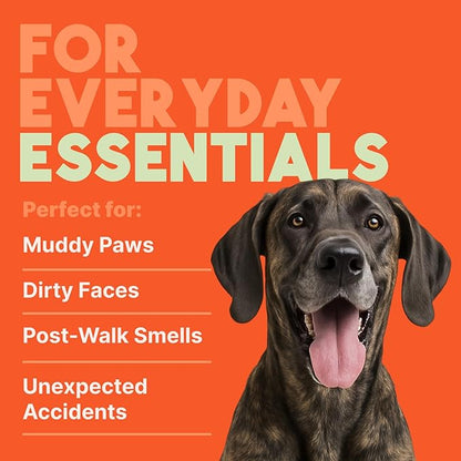 TropiClean Papaya & Coconut Luxury 2-in-1 Pet Wipes, 100ct - Wipes for Dogs & Cats - Gently Removes Dirt, Dander & Smells - for Pet Paws, Face, Body & Bottom - Tropical Papaya & Coconut Scent