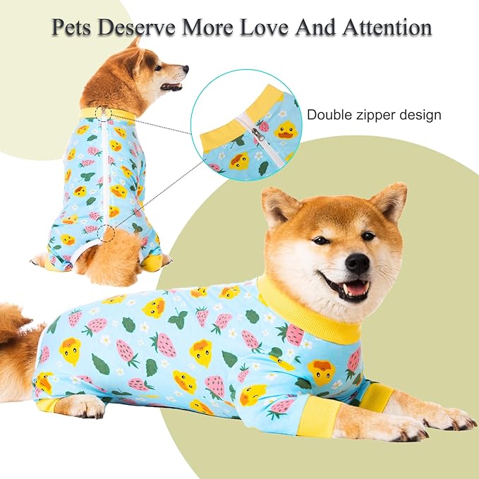 Dog Recovery Suit for Small Medium Large Dogs, Pet Onesie After Surgery Comfort Dog Bodysuit Anti Licking (Large, Blue)