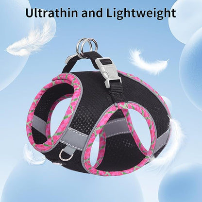AIITLE Dog Harness and Leash Set - Ultra-Comfortable Vest with Strong Magic Tape & Glow-in-Dark Reflective Strips, Chafe-Free for Teddy, Schnauzer (Black, M)