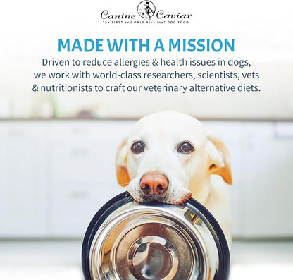 Canine Caviar - Special Needs: Chicken & Brown Rice Alkaline Dry Dog Food, Limited Ingredients, Gluten-Free, Based on Science & Research, Veterinary Alternative Diet (11 Pound Bag)