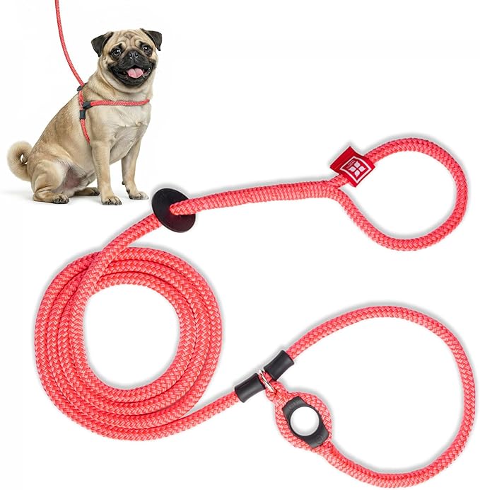 Harness Lead No Pull Dog Harness and Leash Set, Anti Pull Dog Harness for All Breeds and Sizes, One-Piece Cushioned Rope Design Safely Prevents Escaping and Pulling (Small/Medium, Pink)