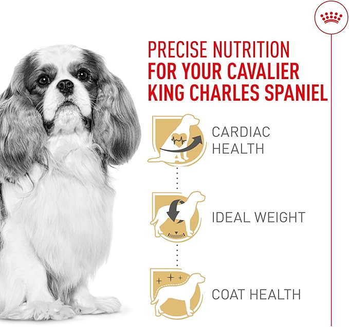 Royal Canin Breed Health Nutrition Cavalier King Charles Spaniel Adult Dry Dog Food, 10 lb Bag