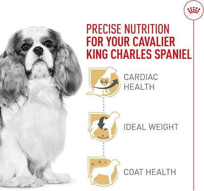 Royal Canin Breed Health Nutrition Cavalier King Charles Spaniel Adult Dry Dog Food, 10 lb Bag