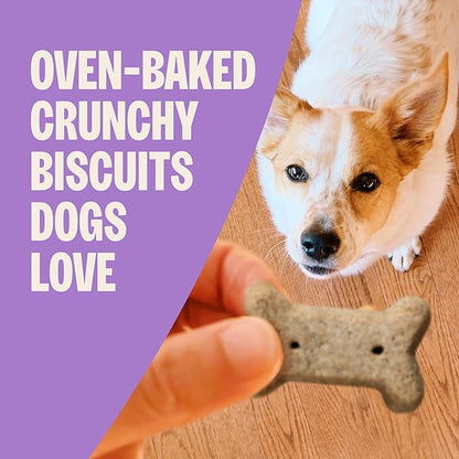 Wellness Old Mother Hubbard Classic Savory Mix Dog Biscuits, Natural Training Treats, 3 Flavors, Mini Size, 20 oz Bag
