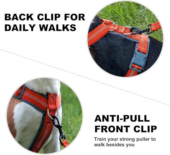 Plutus Pet No Pull Dog Harness, Adjustable Nylon Harness with Soft Padding, Reflective and Heavy Duty Dog Harness for Small, Medium, Large Dogs(Orange, XL)