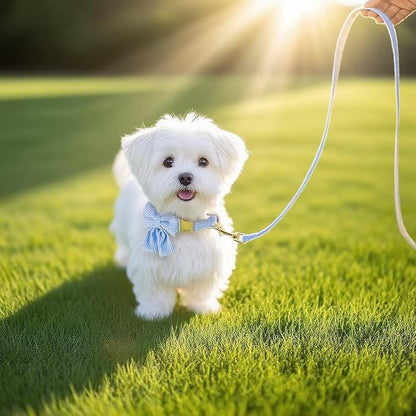 Dog Collar and Leash Set with Bowtie, Girl Dog Collars Metal Buckle Adjustable for Small Medium Dogs (Blue, S: Neck 10"-16" Leash 5 FT)