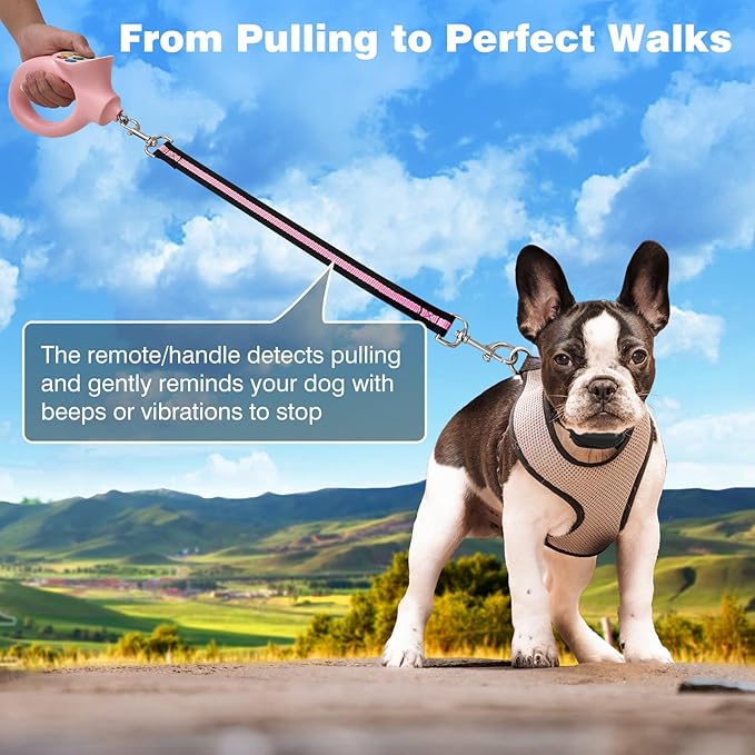PaiPaitek Dog Shock Collar and No-Pull Training Leash Set, 1600ft Waterproof Dog Training Collar with Tension Sensor for Anti-Pull and Remote Recall