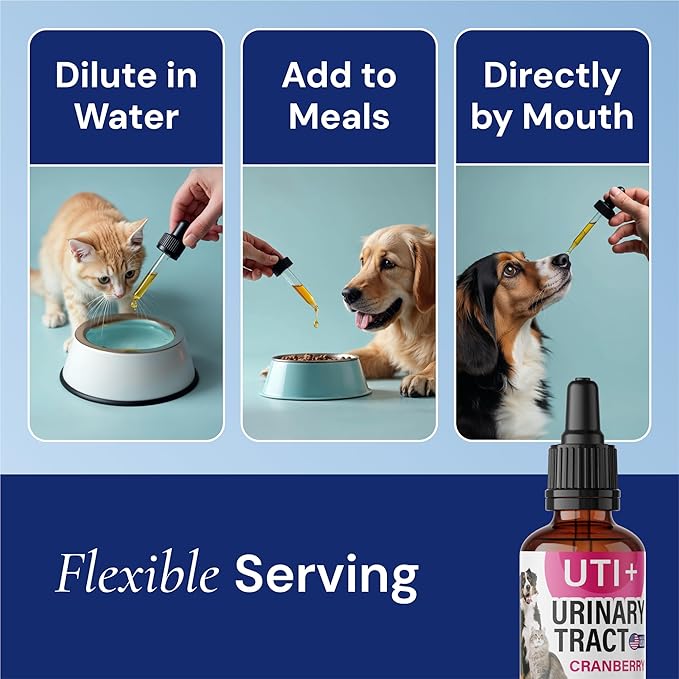 Cat & Dog UTI Treatment - UTI Medicine & Urinary Tract Infection Treatment for Pets - Kidney Support - Bladder Control for Dogs Incontinence - Cat UTI Remedy - Cranberry Supplement - US Made - 2fl.oz