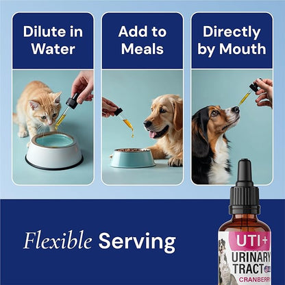 Cat & Dog UTI Treatment - UTI Medicine & Urinary Tract Infection Treatment for Pets - Kidney Support - Bladder Control for Dogs Incontinence - Cat UTI Remedy - Cranberry Supplement - US Made - 2fl.oz