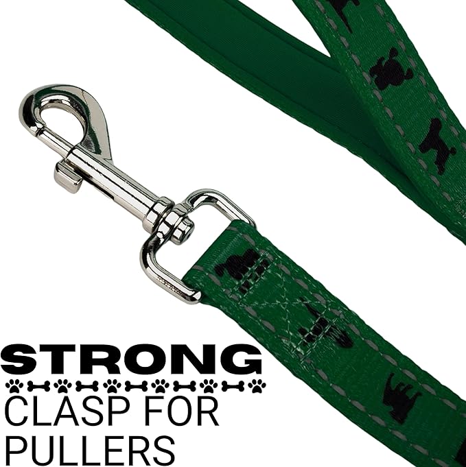 EcoBark Dog Leash - Soft & Reflective Comfort Leash with Padded Handle - Safe, Strong, & Durable for Small, Medium or Large Dogs (Forest Green)