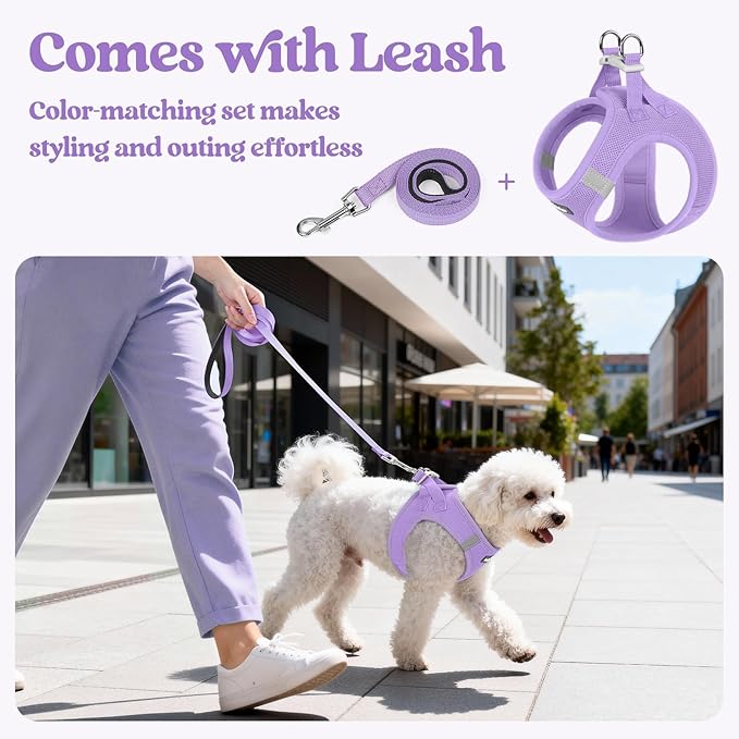 rabbitgoo Dog Harness Small Medium Sized and Leash Set, Step in Soft Light Puppy Vest, Breathable Mesh Pet Harness, Reflective for Safe Easy Walking, Light Purple XL