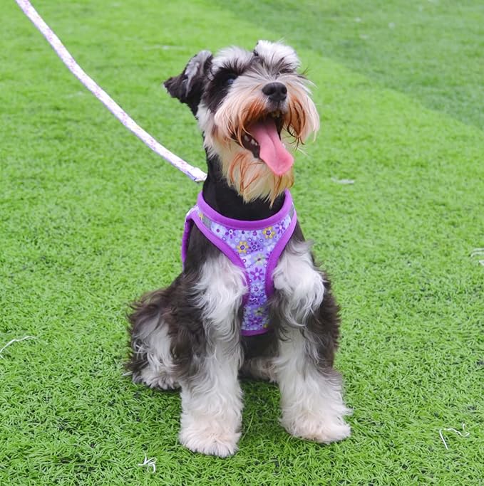 Moonpet Step in Dog Harness Leash Set- All Weather Reflective No-Pull Floral Pattern Padded Mesh Vest Harness for Cats Puppy Extra-Small Small Medium Large Dogs - Purple Flower - XS