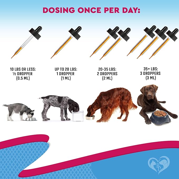 Kennel Cough Treatment & Natural Infection Medicine for Dogs & Cats - Respiratory & Cold Cough Relief - Collapse Trachea & Cat Asthma Support - Made in USA