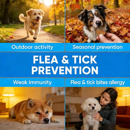 180 Cts, Flea and Tick Prevention for Dogs Chewables, Oral Flea Pills for Dogs Puppy, Natural Dog Flea and Tick Treatment, Skin & Coat Support Supplement, Soft Chews
