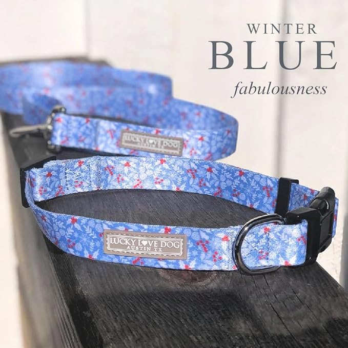 Lucky Love Dog Martingale Dog Collar - Adjustable, No-Slip, Durable, & Soft Webbing Collar for Male and Female Dogs Ideal for Training & Walking - Winterblue, Small