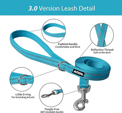 AIITLE Comfortable Dog Harness and Leash Set for Walking - Step in Vest Harness,Reflective Bands, Adjustable No Pull Puppy Essentials, for Small Dogs and House Cats Hot Pink XS