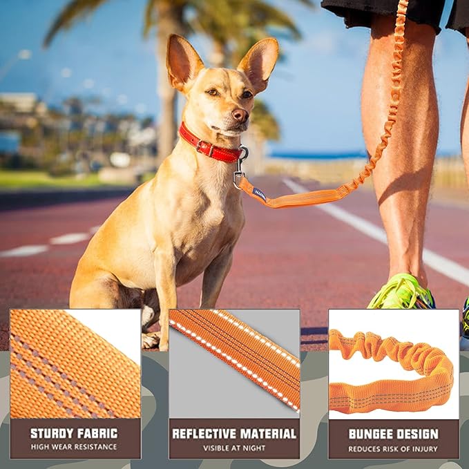 AUROTH Large Dog Leash - Heavy Duty Bungee, No Pull, Orange 6FT, 2 Padded Handles