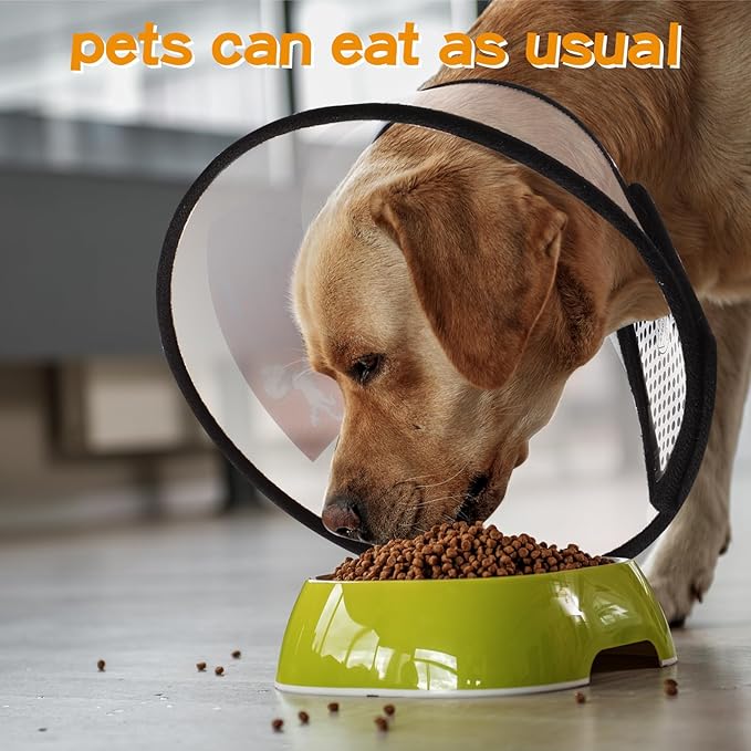 Paterr 9 Pcs Soft Dog Cone Collar Adjustable Protective for Pet Flexible Plastic Cone for Dog After Surgery Recovery E Collar for Wound Healing Small Medium Large(Black Border)