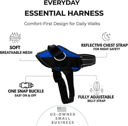 ShawnCo Essential Dog Harness, No-Pull Pet Vest with 3 Leash Clips, No Choke, Reflective, Adjustable and Padded, for Easy Walking and Training for Small, Medium and Large Dogs (Electric Blue,M)