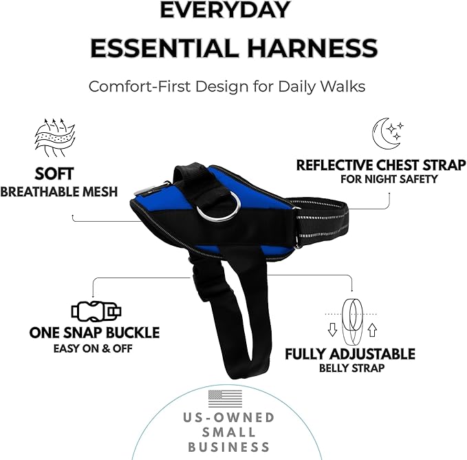 ShawnCo Essential Dog Harness, No-Pull Pet Vest with 3 Leash Clips, No Choke, Reflective, Adjustable and Padded, for Easy Walking and Training for Small, Medium and Large Dogs (Electric Blue,S)