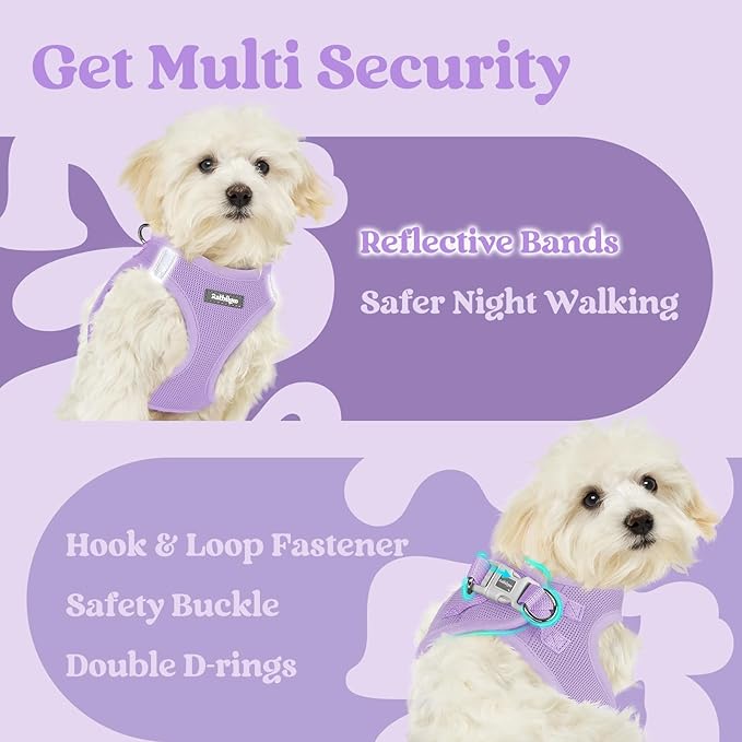 rabbitgoo Small Dog Harness, Step-in Soft Mesh Puppy Vest with Safety Buckle, Breathable Reflective Pet Harness for Small Sized Dogs, Light Purple S