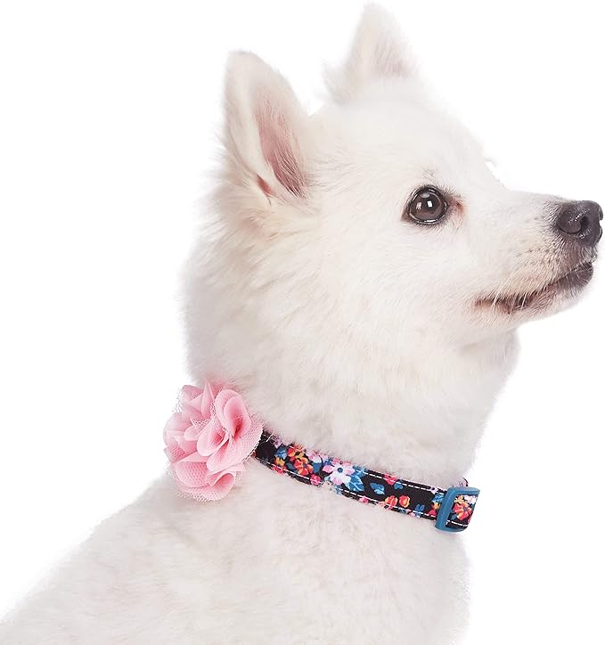 Blueberry Pet Made Well Elegant Floral Print Adjustable Dog Collar in Sleek Black with Pink Artificial Silk Flower, X-Small, Neck 7.5"-10"
