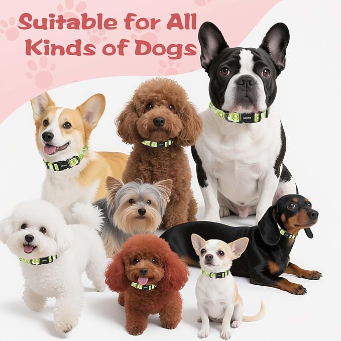 Kazazoo Dog Collar Cute and Soft Nylon Puppy Collar for Boy and Girl, Adjustable Dog Collars for Small Medium Dogs, Kiwi Fruit-S