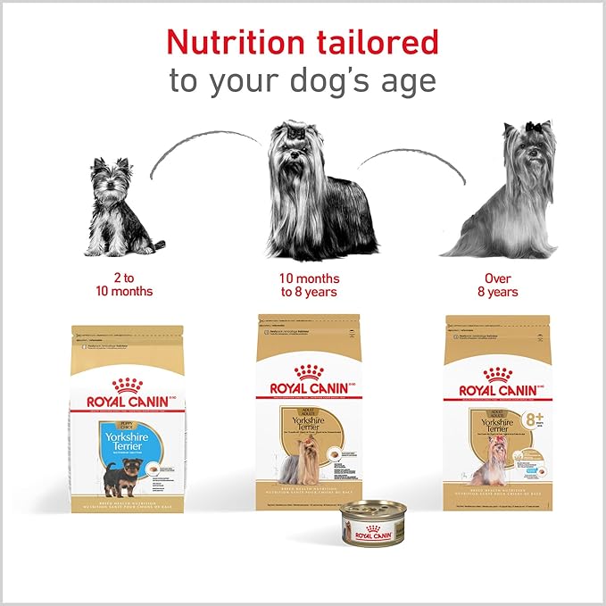 Royal Canin Breed Health Nutrition Yorkshire Terrier Adult Dry Dog Food, 2.5 lb Bag