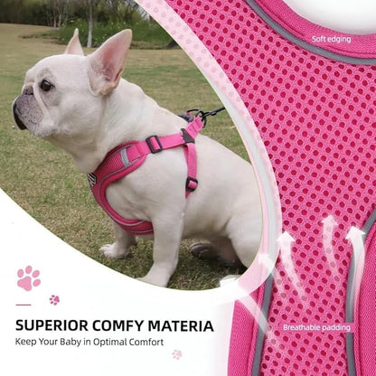 Dog Harness and Leash Set, Adjustable Triangle, Reflective Adjustable Puppy Vest, No Pull Soft Mesh Harness for Small, Medium Dogs, Cats (Fuchsia, XL)
