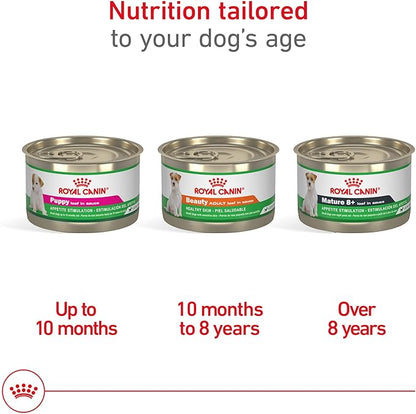 Royal Canin Canine Health Nutrition Adult Beauty Loaf in Sauce Dog Food, 5.2 oz (Pack of 12)