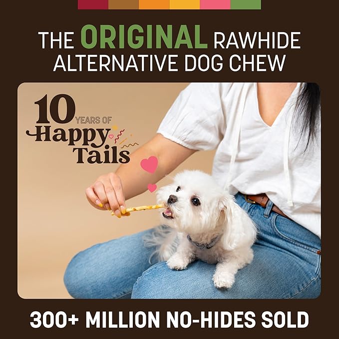 Earth Animal No Hide Stix - Long Lasting Rawhide Free Small Dog Chews Sticks, Pork - 10 Count