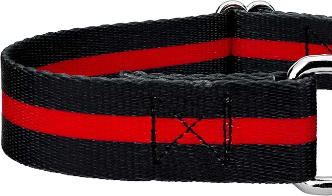 Country Brook Petz - Thin Red Line Martingale Dog Collar and Leash - Camouflage Collection Featuring Rugged Designs (1 Inch, Large)