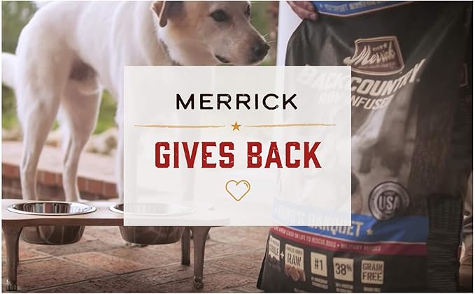 Merrick Grain Free Canned Dog Food, Real Duck Dinner Recipe With Added Vitamins and Minerals, 12.7 oz. Can