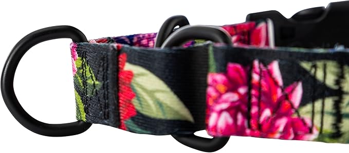 Wolfgang Heavy Duty Martingale Dog Collar with Quick Release Nylon Buckle for Walking & Training, DarkFloral Print, Large