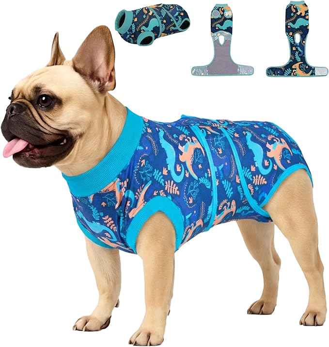 PetWarm After Surgery Onesie for Dogs, Pet Coat's Inner Clothes, Dog Cone Alternative After Surgery Suit for Dogs Female Male Dog Onesie for Spay Neuter, Dinosaur Pattern, Green, XS