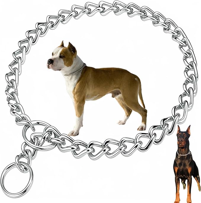 Choke Collar for Dogs, Choker Chain Metal Heavy Duty Chain Collar Dog Collars for XS Small Medium Large Big XL Dogs Girls Boys (Silver, M)