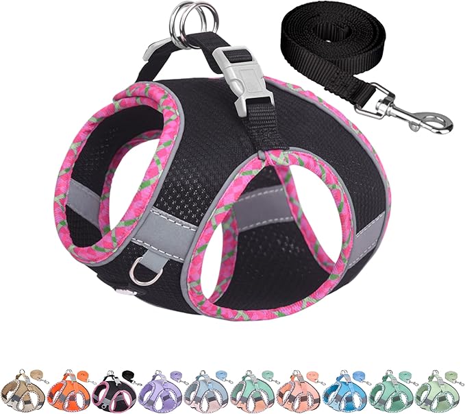 AIITLE Dog Harness and Leash Set - Ultra-Comfortable Vest with Strong Magic Tape & Glow-in-Dark Reflective Strips, Chafe-Free for Teddy, Schnauzer (Black, M)