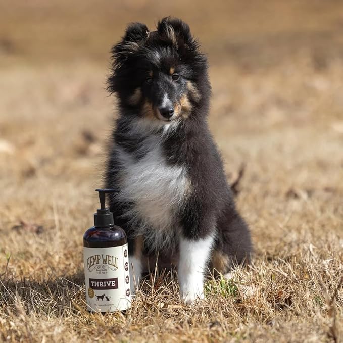 Hemp Well Thrive Oil for Dogs and Cats – Supports Hip, Joint, and Heart Health, Promotes Immune System, and Promotes Healthy Skin from Seasonal Allergies, Organically Sourced - 8 Ounces