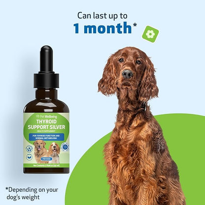 Pet Wellbeing Thyroid Support Silver for Dogs - Holistic Energy & Metabolism Support with Ashwagandha & Forskohlii, Canine Thyroid Supplement - NASC Certified & Vet-Formulated - 2 oz Liquid Formula
