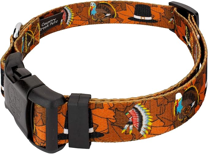 Country Brook Petz - Thanksgiving Tradition Everyday Dog Collar and Leash - Awesome Autumn Collection Featuring Designs You'll Fall for (1/2 Inch, Extra Small)