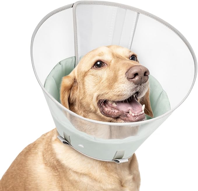 Dog Cone Collar with Snap-on Detachable Soft Liner, Lightweight Transparent Elizabethan Alternative to Stop Licking, for Spay Neuter Surgery Recovery, for Medium Large Small Dogs (Green,L)
