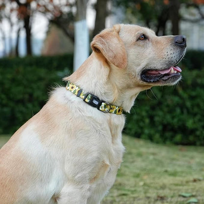 Dog Collar Leash Set, Floral Pattern, 5ft Matching Leash, Polyester Material, 4 for Small Medium Large Dogs.(M, Sunflower)