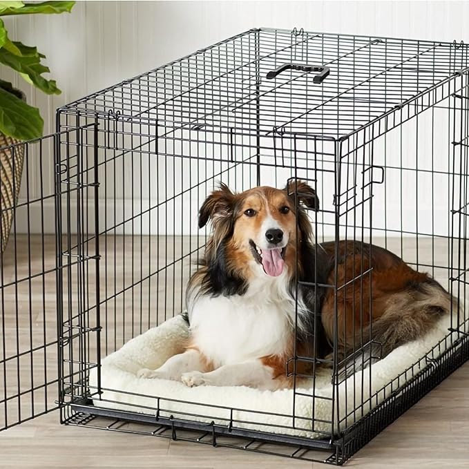 Pet Dog Crate, 36 Inches Metal Wire Large Dog Cage Double Door Folding Dog Kennel with Divider Panel, Leak-Proof Plastic Pan, Indoor Outdoor Pet Crates for Small Medium Breed Dogs Animals