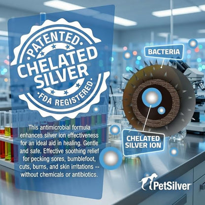 PetSilver Immune Support, Natural Nebulizer Solution, Promotes Respiratory Health in Cats & Dogs, Allergies, Sinus & Cough Treatment, Easy to Use, Patented Chelated Silver, Made in the USA, 16 fl oz