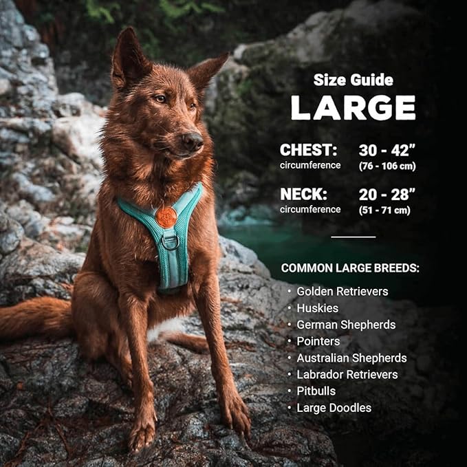 Wilderdog Lightweight Dog Harness with Reflective Straps - Large - Black