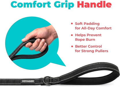 Best Pet Supplies Voyager Reflective Dog Leash or Collar with Neoprene Handle, for Small, Medium, and Large Breed Puppies, Cute and Heavy Duty for Walking, Running and Training - Black (Leash), L