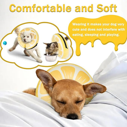 Inflatable Dog Cone Collar for Large Medium Small Dogs, Soft Adjustable Recovery Cone for Dogs Cats,Dog Neck Donut Alternative After Surgery(Lemon,Medium+