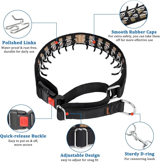 Mayerzon Dog Collar, Patented Martingale No Pull Collar for Small Medium Large Dogs with Buckle for Walking Training, Hidden Design (Black, Small,2.5mm,11.5"-14.5" Neck)