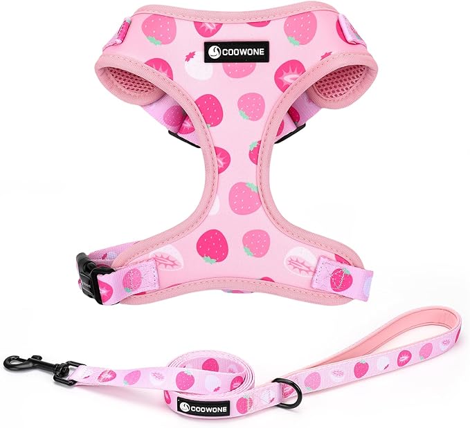 Dog Harness and Leash Set, Adjustable Dog Harness, Dog Leash, No Pull No Choke Puppy Harnesses for Walking Training for Small Medium Pet (Strawberries, L(Chest 18.5-27.1", Neck 14.5-20.1"))